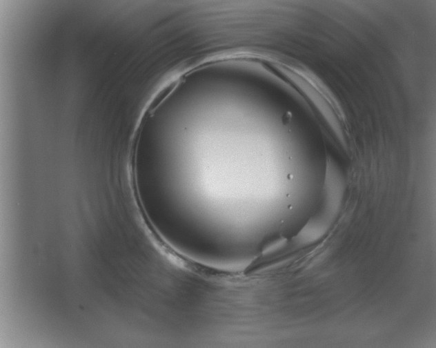 X0000068720813200605010932