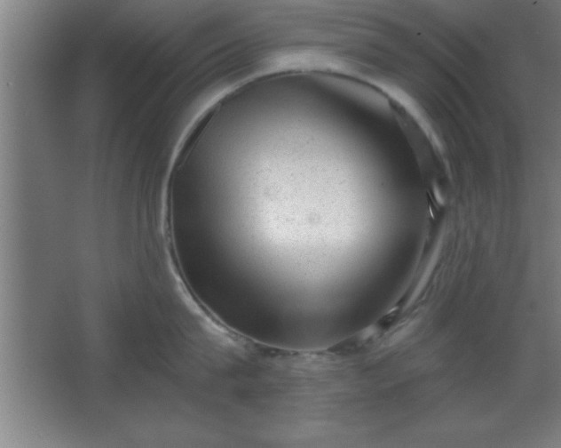 X0000068720815200605010932