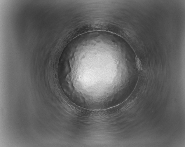 X0000068720817200605010931