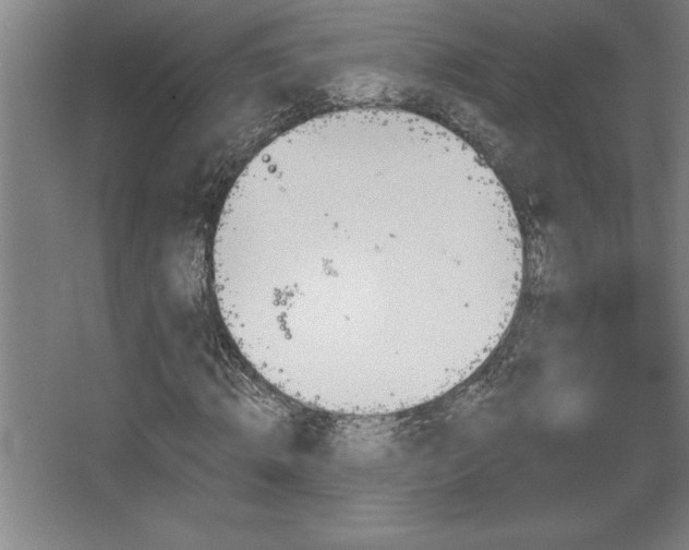 X0000068720820200605010931