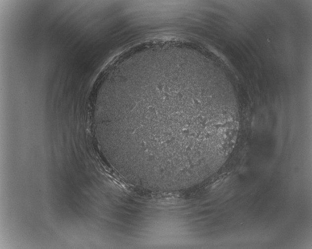 X0000068720823200605010931