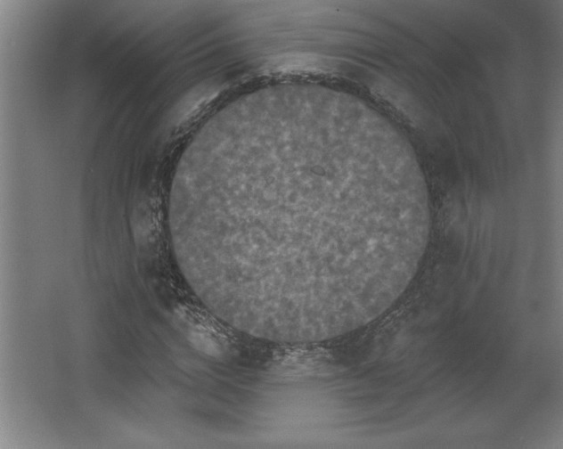 X0000068720824200605010931