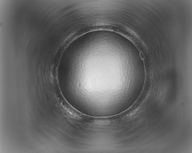 X0000068720825200605010931