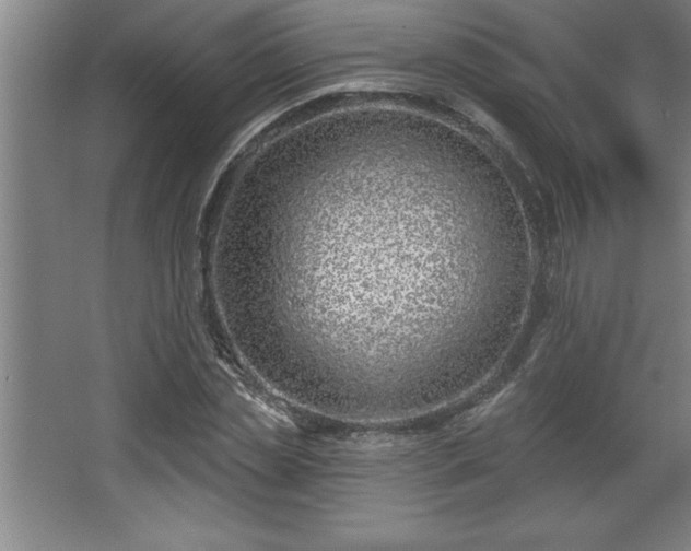 X0000068720829200605010931