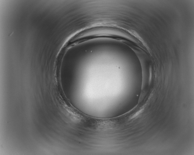 X0000068720830200605010931