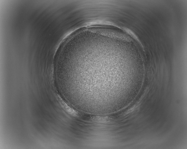 X0000068720831200605010931