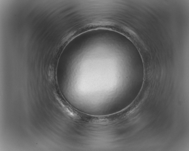 X0000068720833200605010931