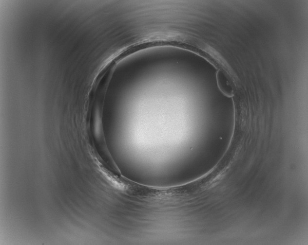 X0000068720834200605010931