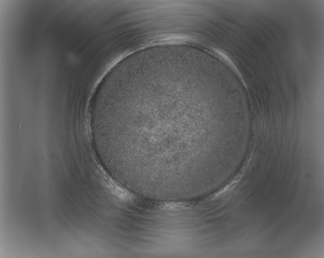 X0000068720835200605010931