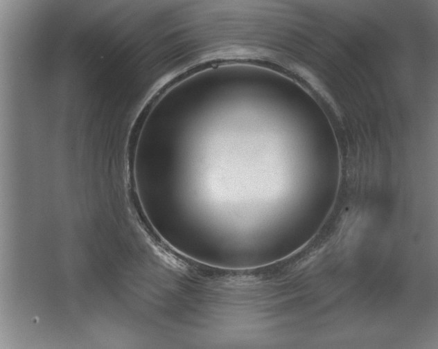 X0000068720837200605010931