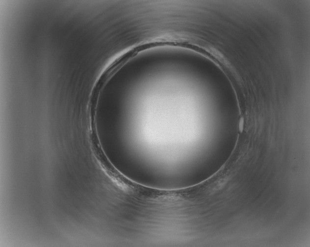 X0000068720838200605010931