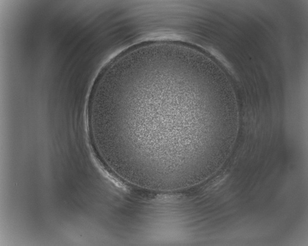 X0000068720840200605010931