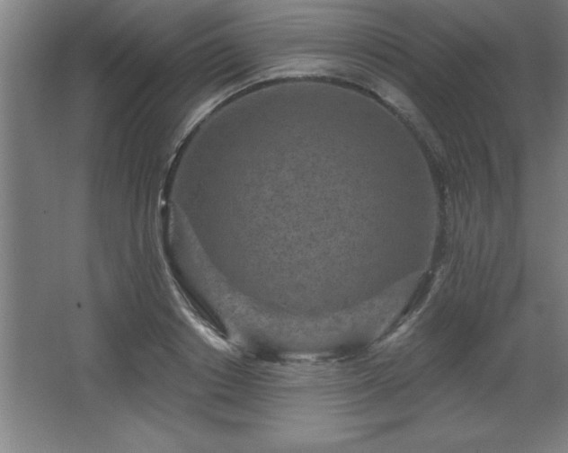 X0000068720842200605010931