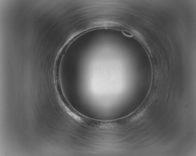 X0000068720843200605010931