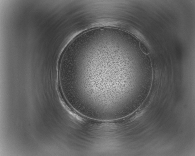 X0000068720844200605010931