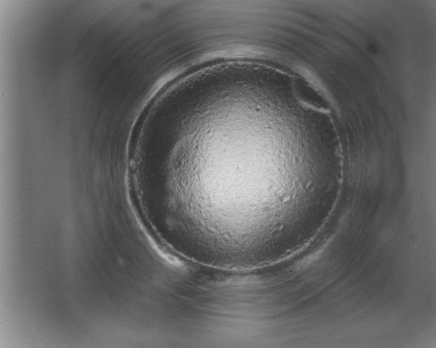 X0000068720845200605010931