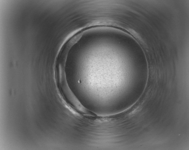 X0000068720846200605010931