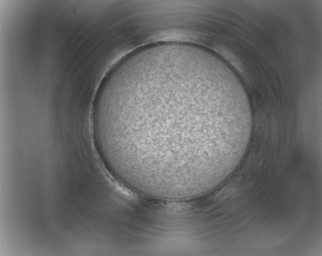 X0000068720848200605010931