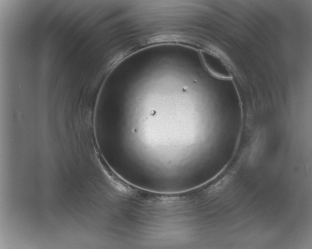 X0000068720849200605010931