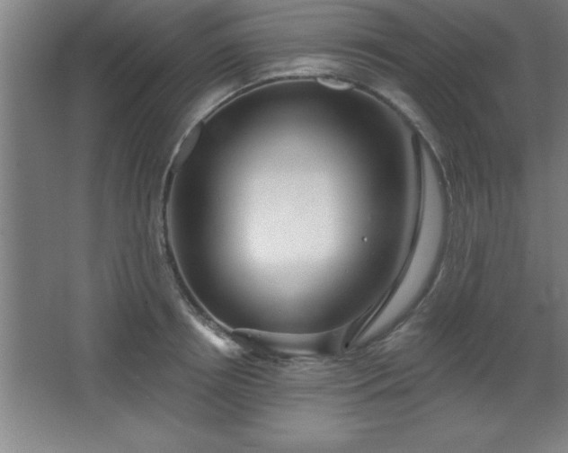 X0000068720850200605010931