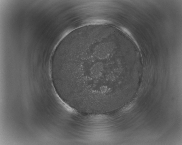 X0000068720851200605010931