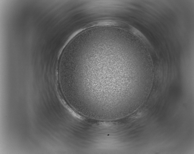 X0000068720852200605010931