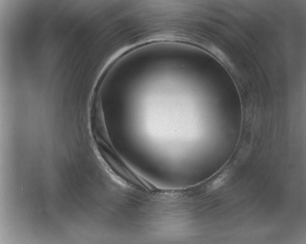 X0000068720854200605010931