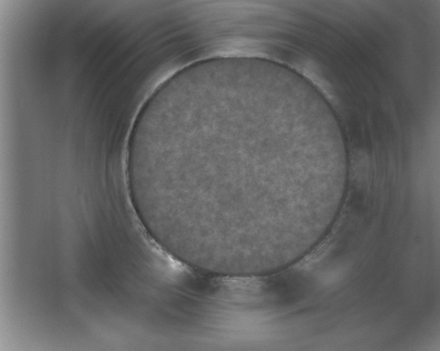 X0000068720856200605010931