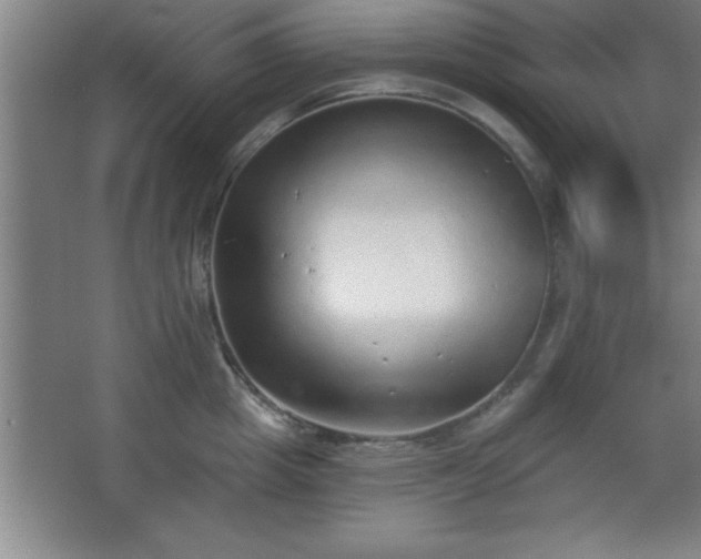 X0000068720857200605010931