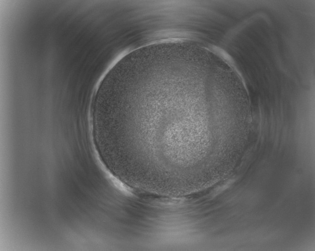 X0000068720859200605010932