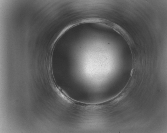 X0000068720860200605010932