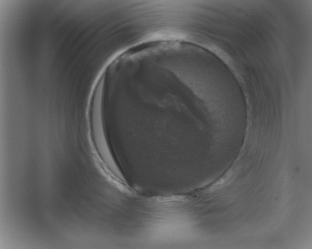 X0000068720864200605010932