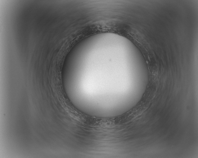 X0000068720865200605010931