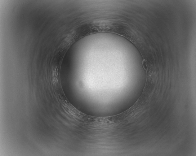 X0000068720866200605010931