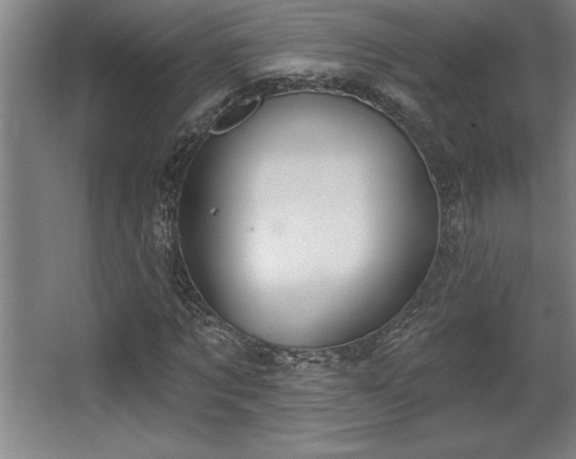 X0000068720869200605010931