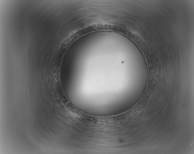 X0000068720870200605010931