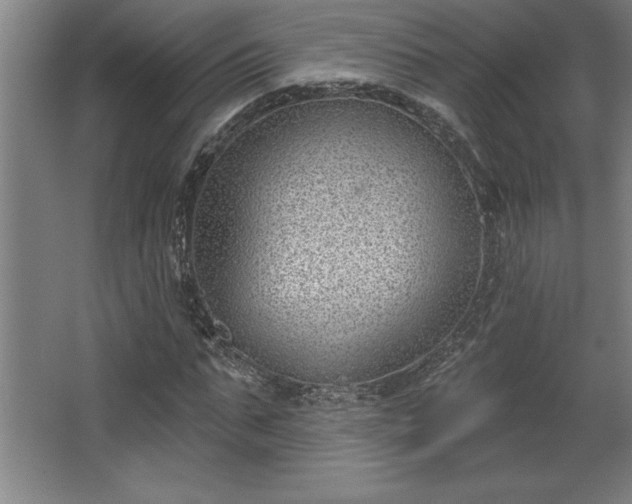 X0000068720871200605010931