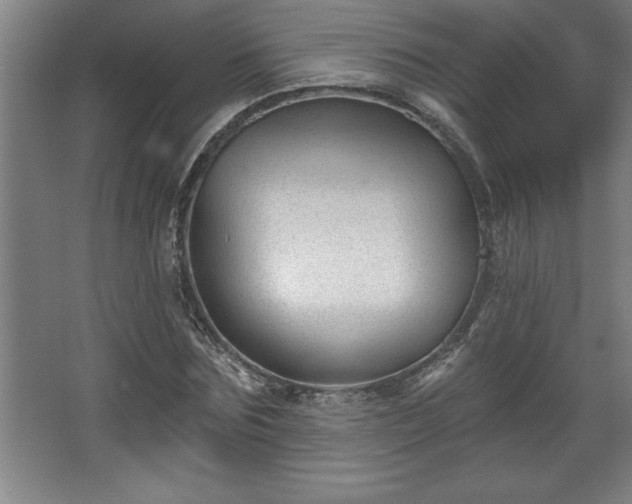 X0000068720875200605010931