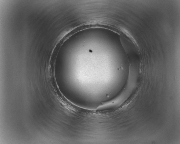 X0000068720876200605010931