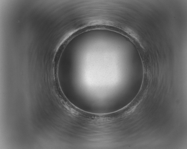 X0000068720877200605010931