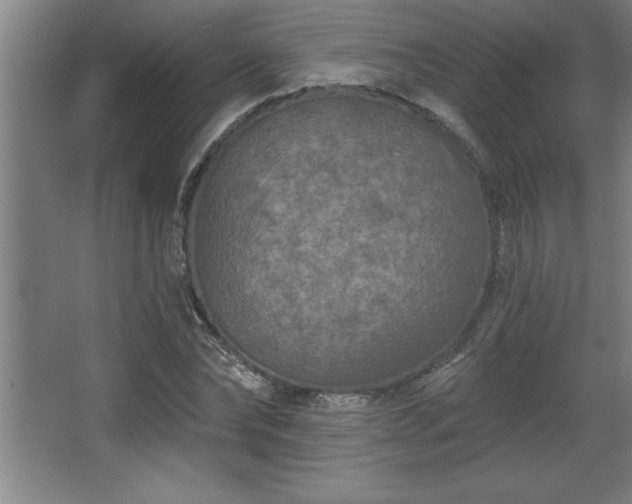 X0000068720878200605010931