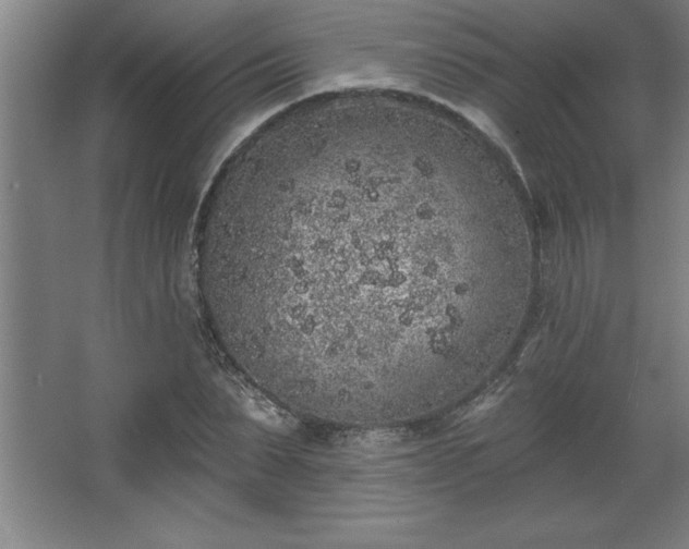 X0000068720879200605010931