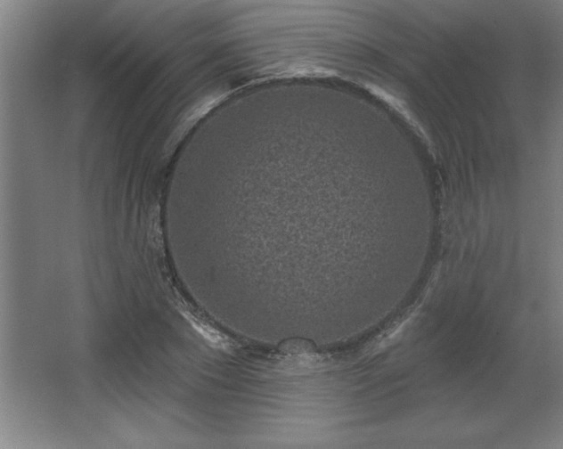 X0000068720881200605010931