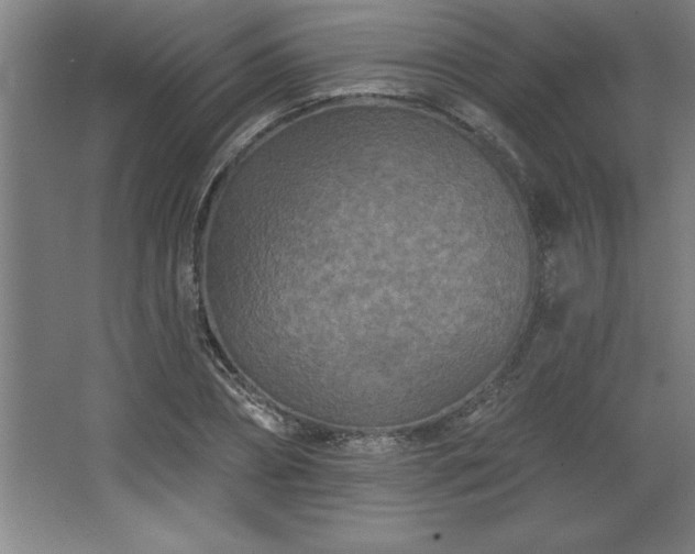 X0000068720882200605010931