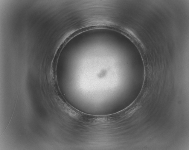 X0000068720883200605010930