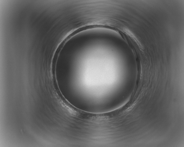 X0000068720884200605010930