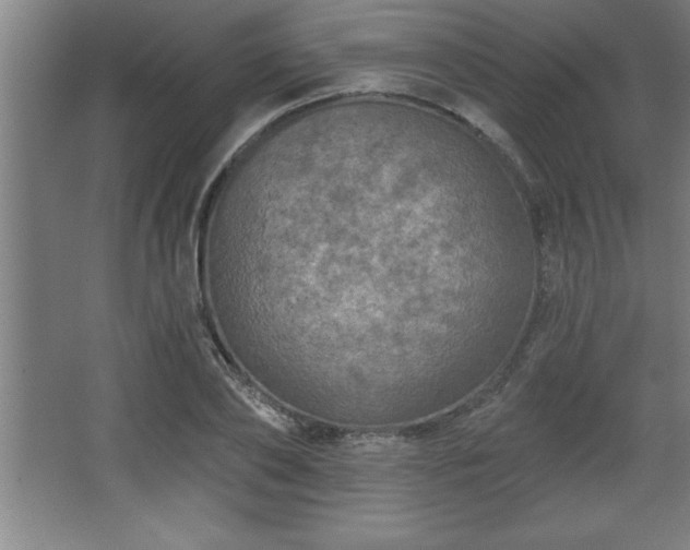 X0000068720886200605010930