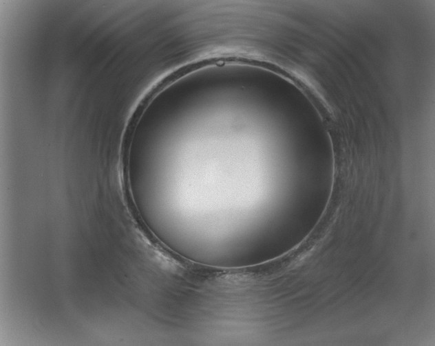 X0000068720888200605010930