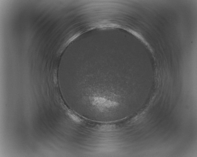 X0000068720889200605010930