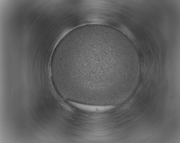 X0000068720891200605010930